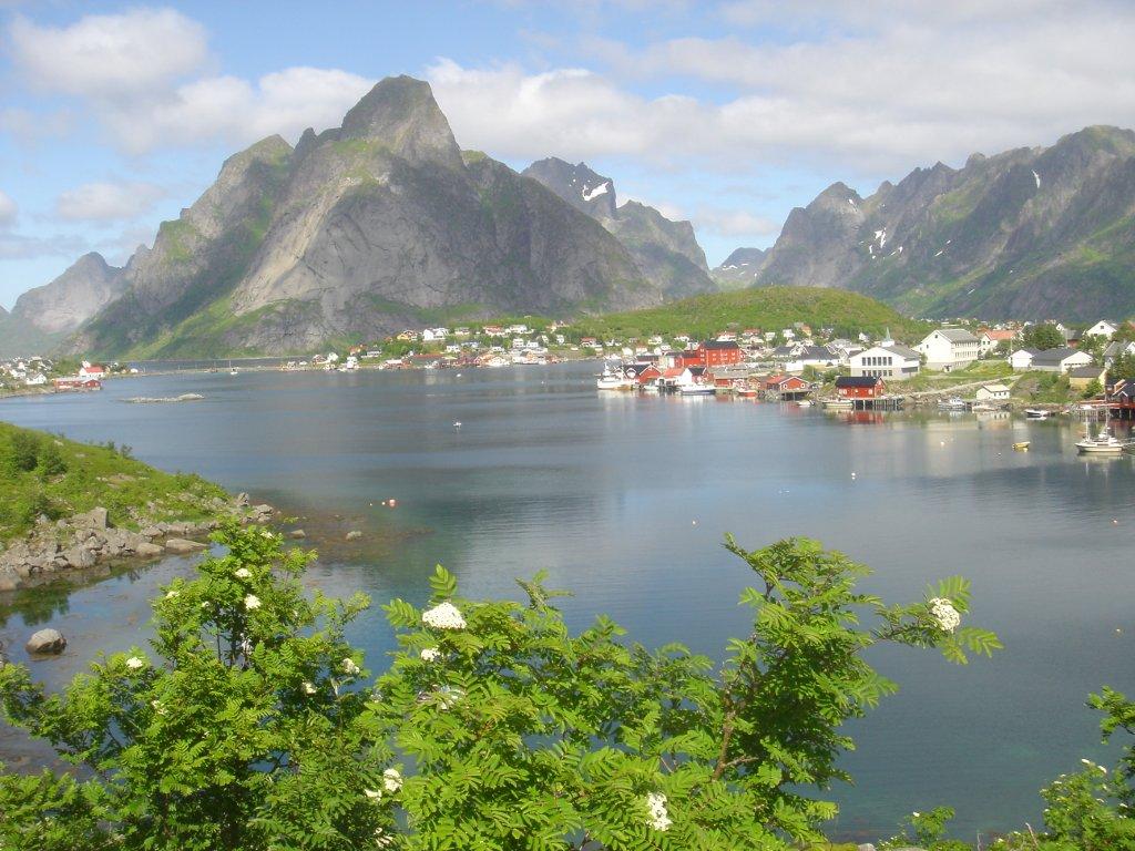 Lofoten magisk natur med fjäll och fjordar