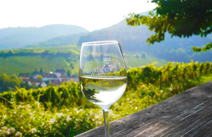 Rüdesheim med vinfest